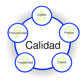 gestion-de-calidad